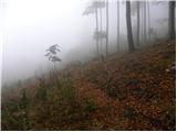 Spodnje Stranice (graves of hundred hostages) - Stolpnik